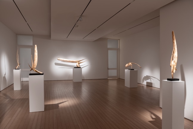David Borgerding
Callan Contemporary
gallery view