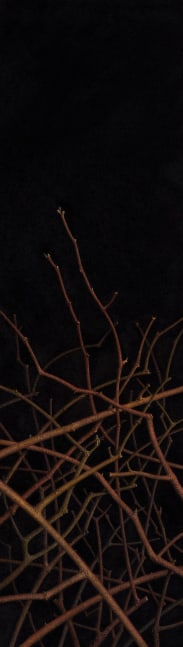 G. Daniel Massad Arrowslit: Sweetspire, 2023 pastel on paper 16 3/4 x 4 3/4 inches