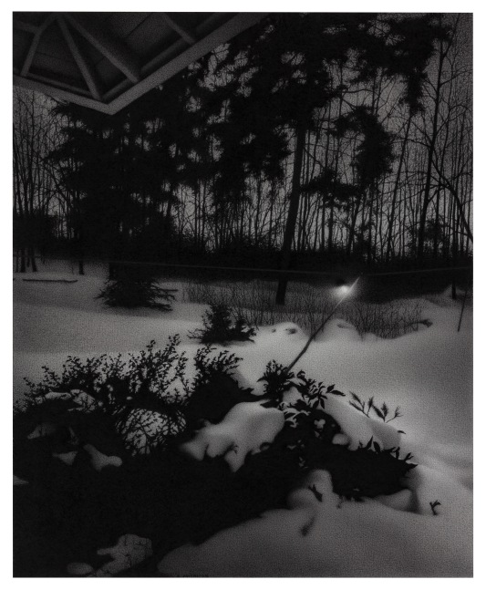 Anthony Mitri Nocturne: Winter Garden With Incidental Elements, 2023 charcoal on paper 15 1/2 x 12 5/8 inches