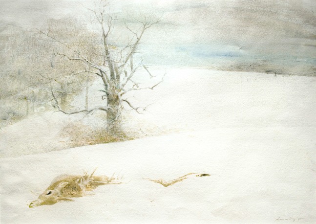 ANDREW WYETH Fallen Deer, c. 1999 watercolor 18 1/2 x 25 1/4 inches