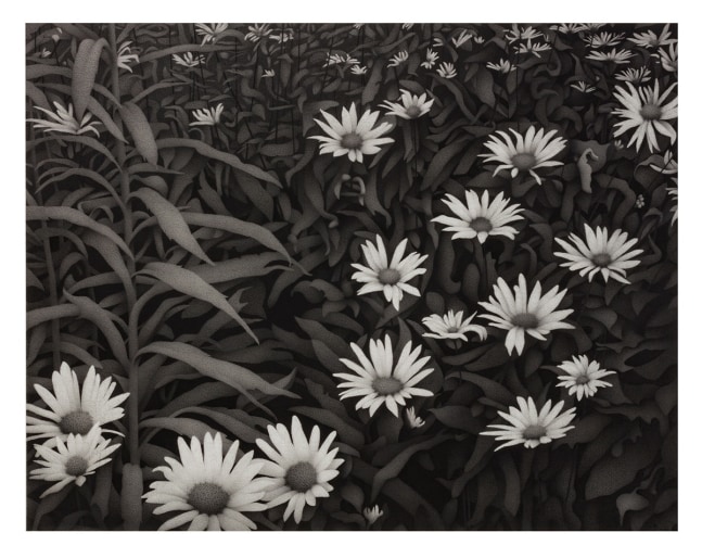 Anthony Mitri, Twilight, Munson Township, 2017-2018, charcoal on paper, 16 3/4 x 21 1/2 inches