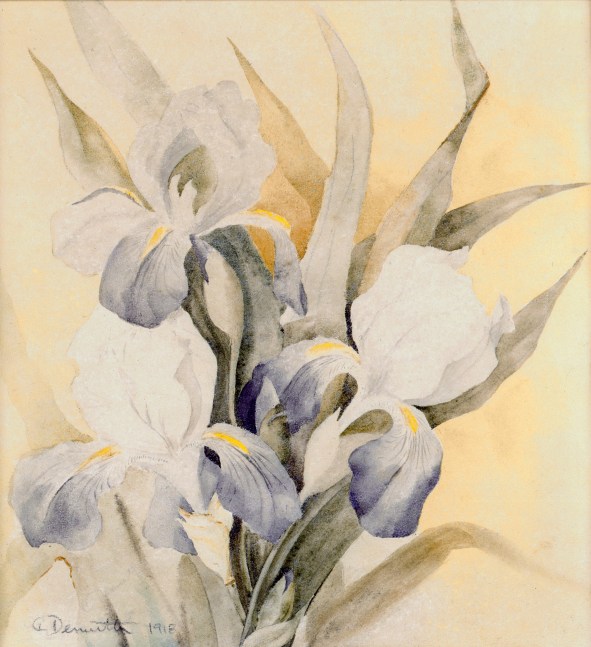 Charles Demuth, Iris, 1918, watercolor on paper, 8 3/4 x 8 1/8 inches