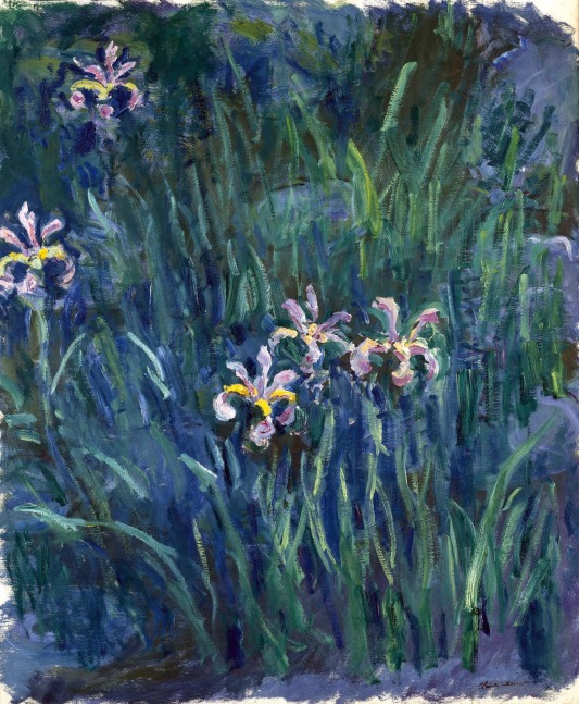 &amp;#39;Irises&amp;#39; by Claude Monet. (Courtesy New York Botanical Gardens)