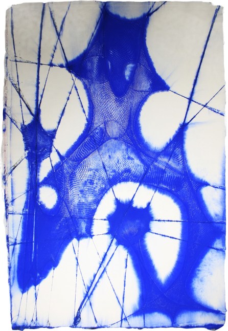 Shazam (Blue and White)

fishnet bodysuit pigment embossing on cotton base sheet

58h x 38 1/2w in