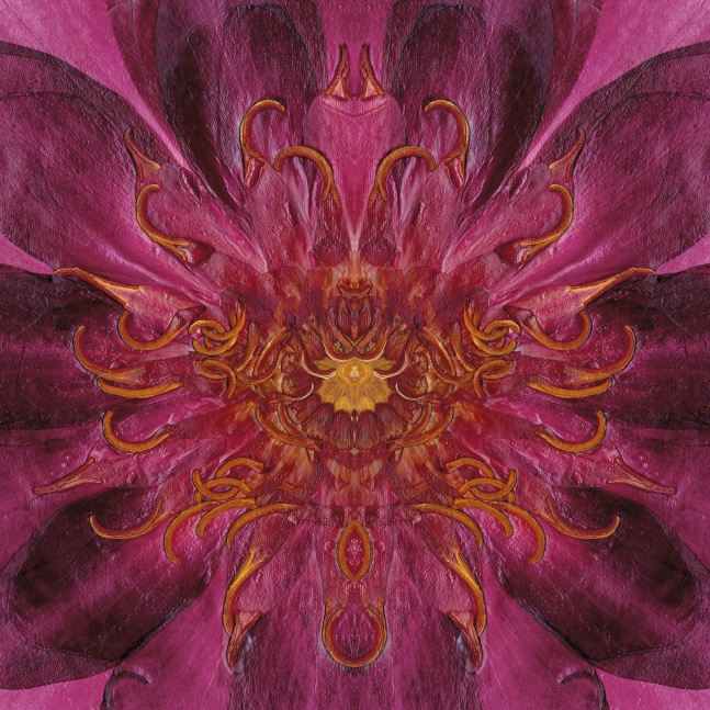 Waterlily, Crystal Archive Print, 72 x 72 in
&amp;nbsp;