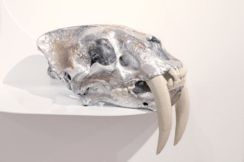 E.V. Day. Semi-Feral Skull I, 2014. Resin sabre-tooth skull, silver and aluminium leaf, 9 x 9 x 14 in. Courtesy of the artist and Salomon Contemporary