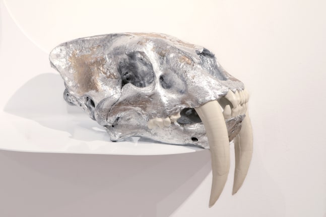 Semi-Feral Skull I