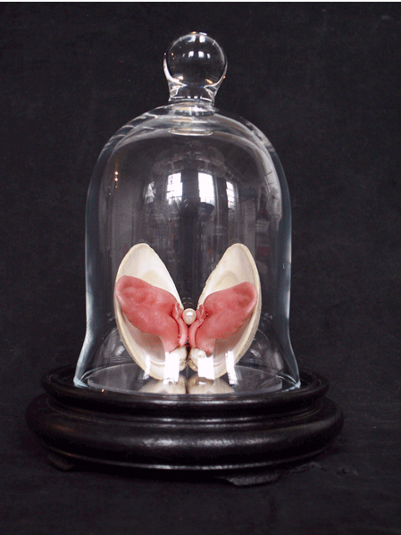 Doublestuff Bell Jar, 2006

Silicone rubber, raccoon and mink tongues, clam shell, fresh water pearl, and resin on wood base with glass bell jar

8h x 8w x 11d in