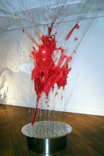 Scarlet Aorta (2002),&amp;nbsp;The Henry Art Gallery