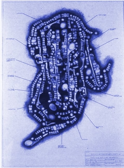 Three-Mile High Club Metastasis, 1999 Series of six blueprints.&amp;nbsp;