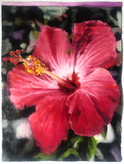 Nathan Ritterpusch

Flower #11,&amp;nbsp;2020

Oil on Arches oil paper

22 x 30&amp;nbsp;inches