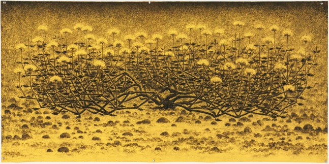 AJI V.N.   Untitled, 2008   Charcoal on coloured paper  29.5 x 59.8 in / 75 x 152 cm