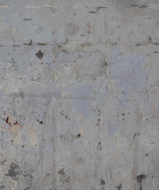 Surface 9

2021

36 x 30 in / 91.4 x 76.2 cm

Oil on canvas