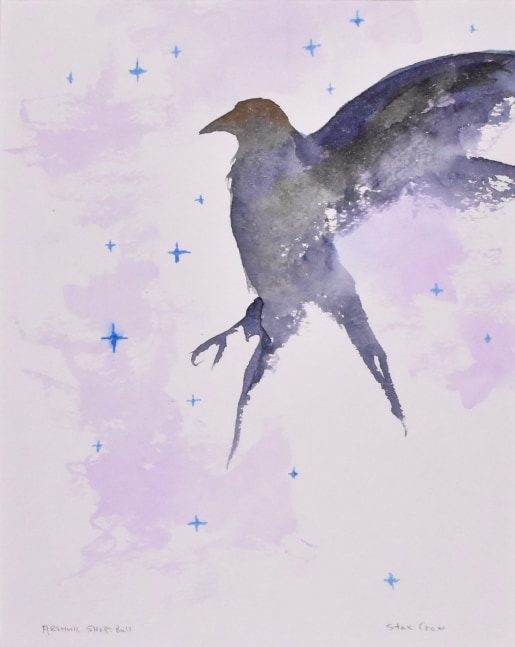 Star Crow