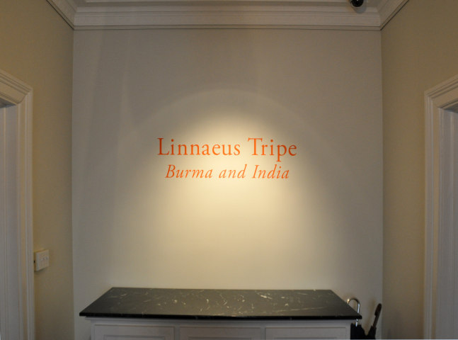 Linnaeus Tripe Photographs of Burma and India Exhibition Installation View