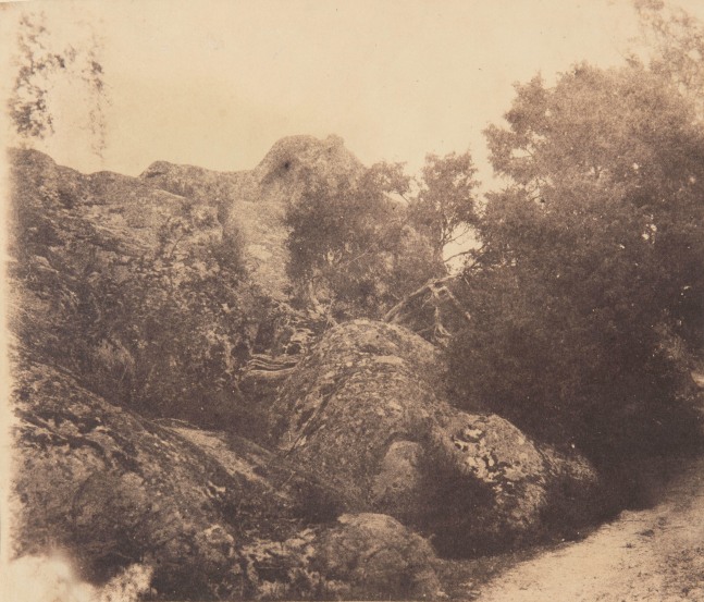 Adalbert CUVELIER (French, 1812-1871) &quot;Gorges de Franchard, forêt de Fontainebleau&quot;*, June 1854 Salt print from a paper negative 17.0 x 19.9 cm mounted on 23.7 x 31.5 cm paper Titled, dated and initialed &quot;Gorges de Franchard / forêt de Fontainebleau / Juin 1854 / AC&quot; in ink on mount