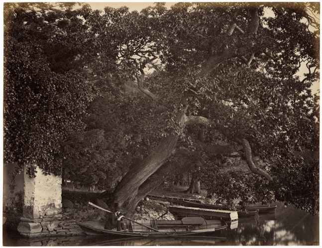 John PAYNE JENNINGS (English, 1843-1926) &quot;530 Study at Belle Isle, Lake Windermere&quot; in &quot;The English Lake District&quot; portfolio, 1870s Albumen print 21.0 x 27.1 cm