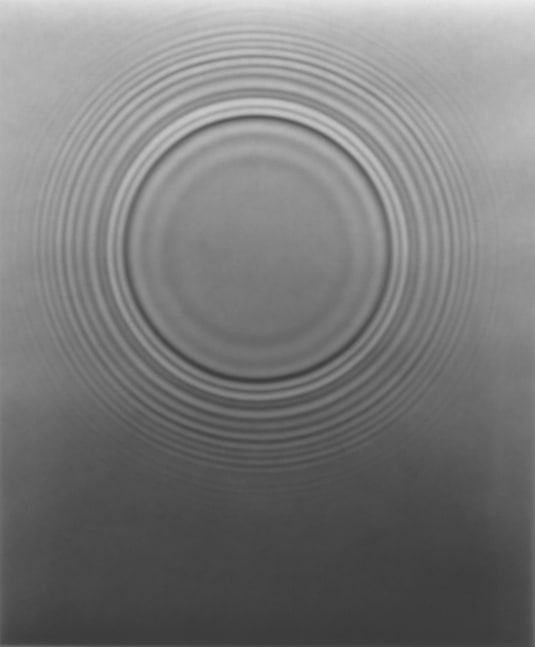 Adam FUSS (American, born in England, b. 1961) ARK 2005, 2005 Gelatin silver print photogram 61.0 x 50.8 cm Signed on verso