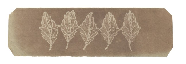 Attributed to Nevil STORY-MASKELYNE (English, 1823-1911) Leaves of lace, circa 1840 Photogenic drawing negative 5.0 x 17.0 cm, corners trimmed