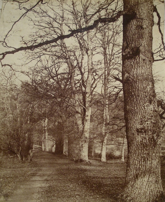 Benjamin Brecknell TURNER (English, 1815-1894) &quot;In Loseley Park&quot;*, 1852-1854 Albumen print from a waxed calotype negative 27.0 x 22.4 cm Titled in pencil on verso
