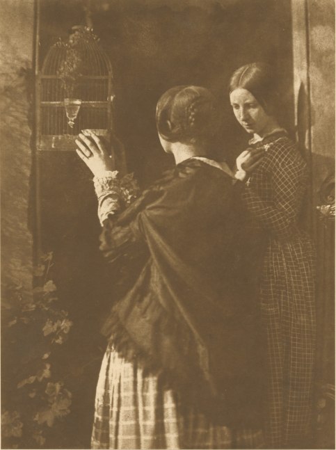 David Octavius HILL &amp; Robert ADAMSON (Scottish, 1802-1870 &amp; 1821-1848) The Bird Cage (the Misses Watson), 1916 Carbon print by Jessie Bertram derived from the original calotype negative by Hill &amp; Adamson, 1843-1847 20.2 x 15.0 cm mounted on 38.3 x 26.5 cm paper, ruled in gilt