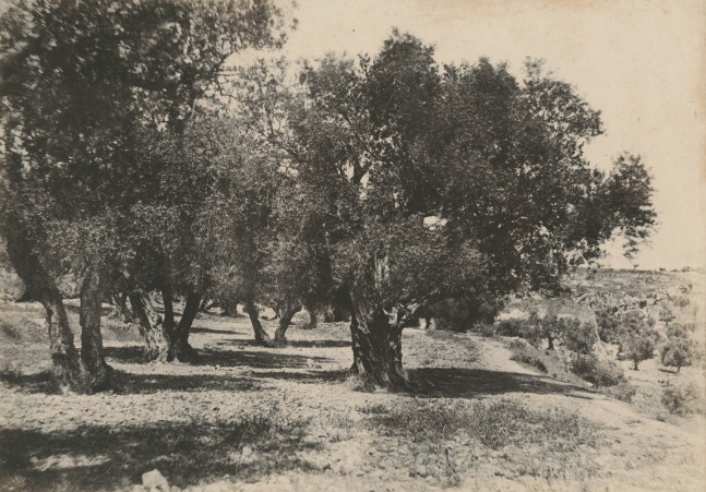 Auguste SALZMANN (French, 1824-1872) &quot;Jerusalem, Vallée de Hinnom, Champ du Sang&quot;, 1854 Blanquart-Evrard salt print from a paper negative 23.6 x 33.4 cm