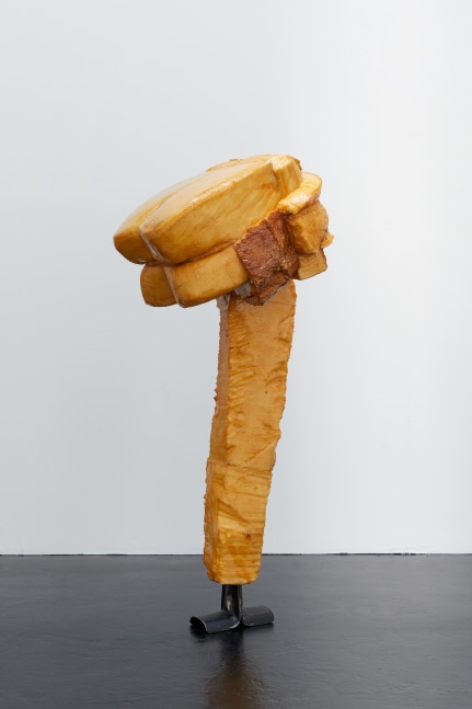 Helmut Lang
Untitled, 2015-2017
shellac, resin, foam and steel&amp;nbsp;
56 x 22 x 21 inches (142 x 56 x 53,5 cm)
SW 17119&amp;nbsp;