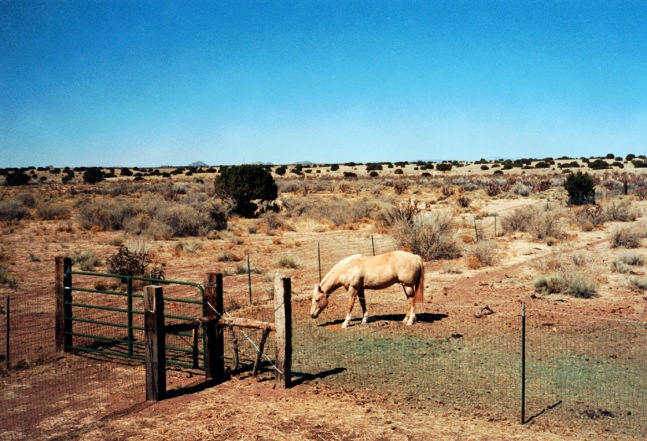 Bruce&amp;nbsp;Nauman
Setting a Good Corner (Allegory &amp;amp; Metaphor), 1999
DVD (color, sound)
59:30 min.
edition 3/40
SW 00144.3