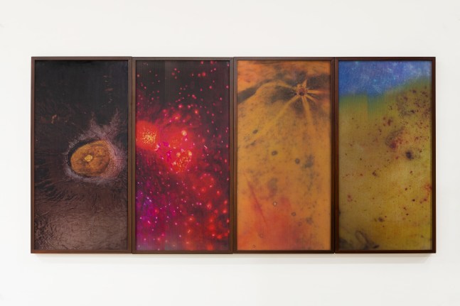 Jitish&amp;nbsp;Kallat
Sightings, 2024
lenticular photographs
four parts; 47 x 96 x 1 inches (119,4 x 243,8 x 2,5 cm) overall
edition 1/3
SW 24088.1