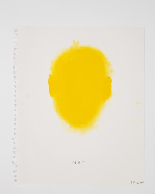 Not Vital
Everton, 2014
oilstick on paper
17 x 14 inches (43,2 x 35,6 cm)
23 3/8 x 29 1/8 inches (59,5 x 74 cm) frame
SW 14129