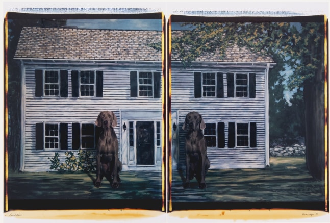 two panel photograph with a white house in the background and two Weimaraner dogs sitting in the foreground