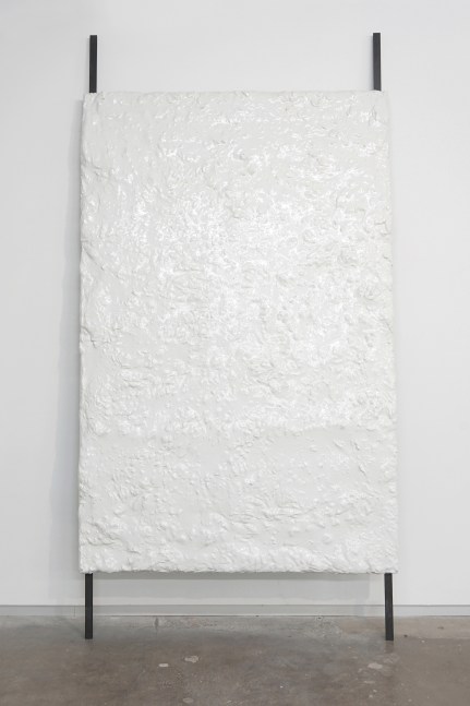 Helmut Lang
Untitled, 2012
enamel, tar, sheepskin, plywood and steel&amp;nbsp;
122 x 62 1/2 x 4 inches (310 x 159 x 10 cm)&amp;nbsp;
SW 16020