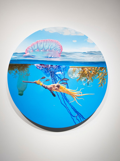Alexis Rockman
Flotsam, 2013
oil and alkyd on wood
30 inches (76,2 cm) diameter
SW 13328