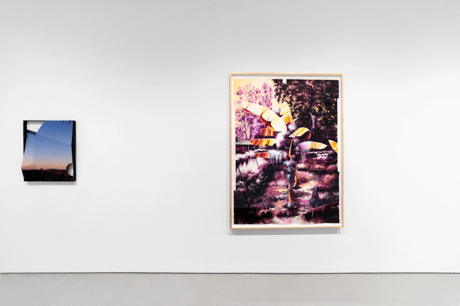 Installation view of two artworks hanging on a white wall, the left artwork is small and blue, and the right artwork depicts a colorful nature scene with a yellow fern