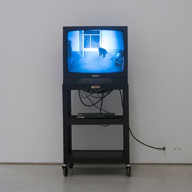 Bruce Nauman
Sound for Mapping the Studio Model (The Video), 2001
color video with sound
1 hour, 1 minute, 20 seconds
Edition 6/6
SW 07284