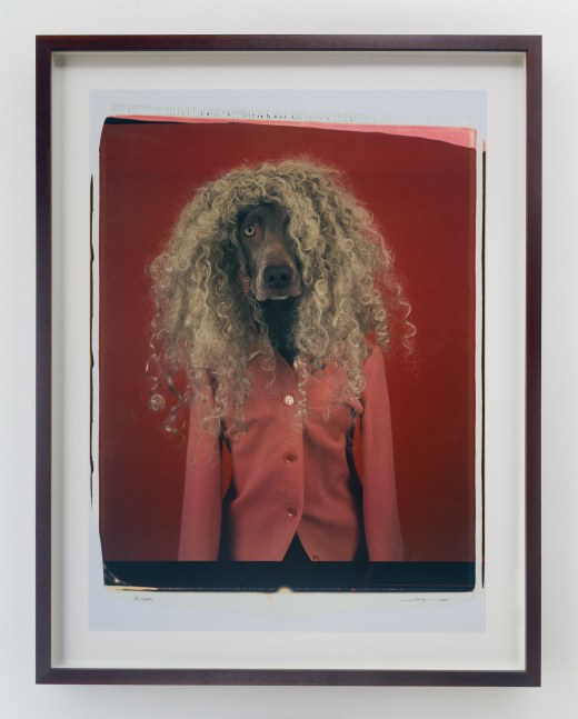 William&amp;nbsp;Wegman
Estella, 2005
color Polaroid
30 x 22 inches (76,2 x 55,9 cm)
35 1/2 x 27 1/2 inches (90,2 x 69,9 cm) frame
SW 25133