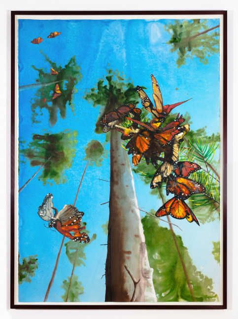 Watercolor and gouache painting showing a cluster of monarch butterflies under a tall tree.