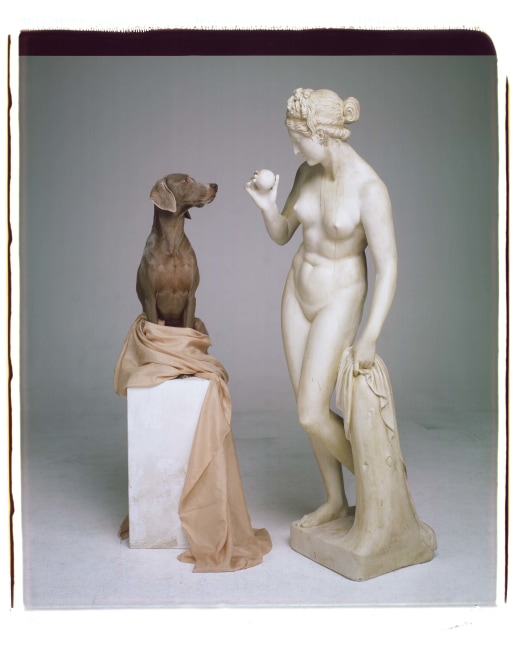 One of Wegman's weimaraners sitting atop a plinth looking at a neoclassical nude female statue, both set in front of a grey background.