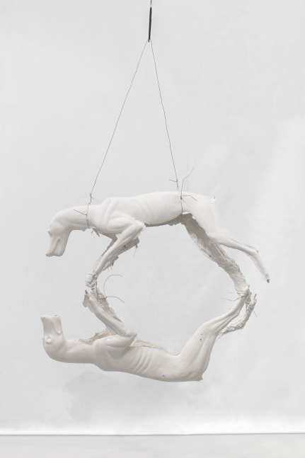 Bruce&amp;nbsp;Nauman
2 plaster coyotes horizontal, 2024
plaster, burlap, threaded rods, wire and s-hook
91 x 43 x 13 inches (231,1 x 109,2 x 33 cm) as installed
SW 24199