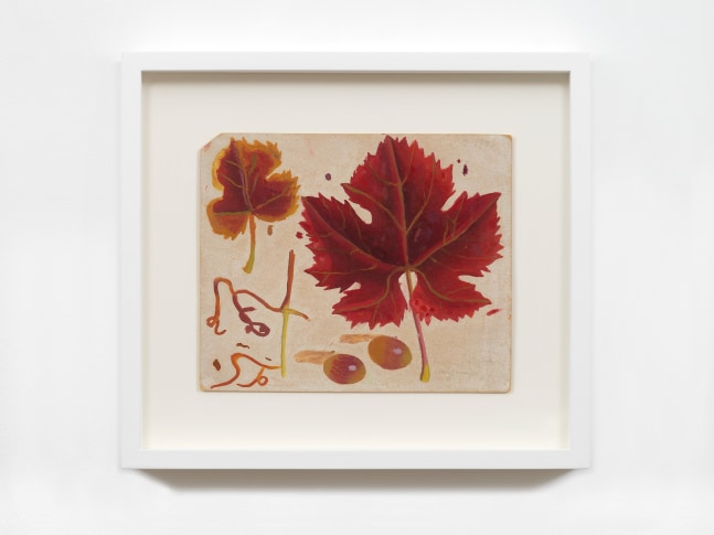 Hojas de parras y uvas, 1943
Oil and pencil on board
6 7/8 x 8 1/4 inches (17.5 x 21 cm)