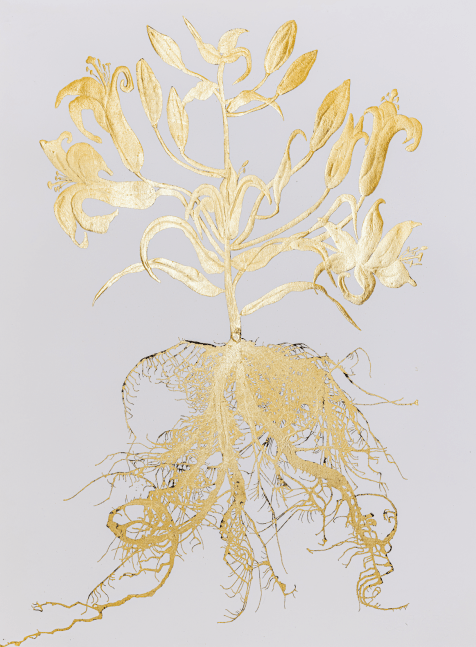Gilded Lily 02, 2023

Gold leaf on paper

30h x 22w in