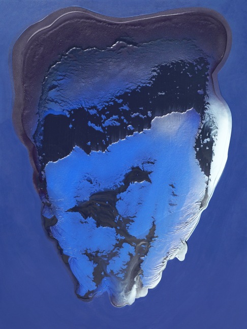 Renee Phillips

Breathing Blue, 2021

Latex and Spray Paint on Canvas

48h x 36w in