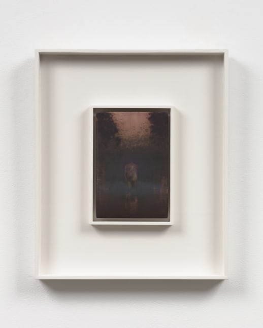 Lady of Shalott, Early Dawn (Mass MoCA #328-B), 2015
polished mixed media on panel
7 1/8 x 5 in. / 18.1 x 12.7 cm

framed: 15 3/4 x 13 1/4 x 1 1/2 in. /&amp;nbsp;40 x 33.7 x 3.8 cm