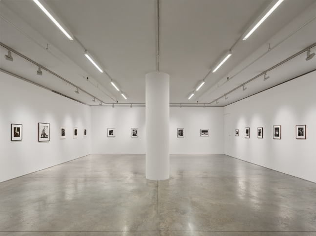 Installation View. Photo: Olympia Shannon