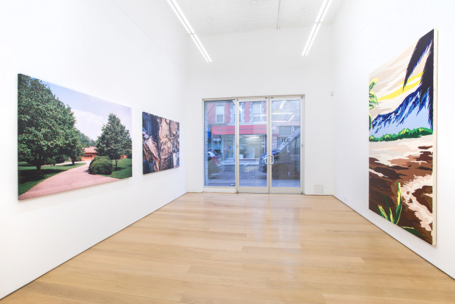 Installation View. Photo: Bill Orcutt.