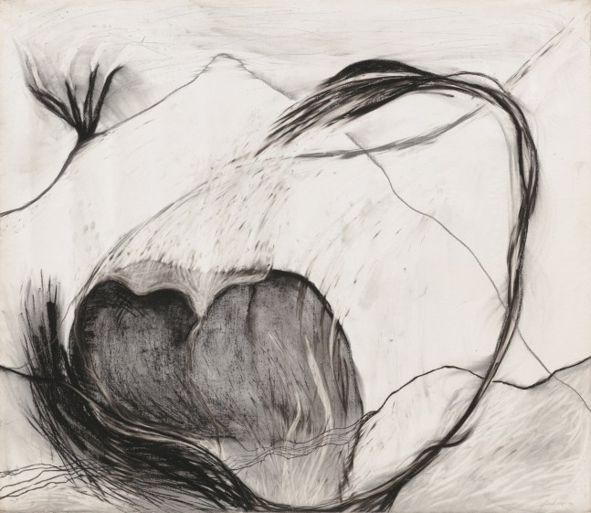 Antiguo luto, 1993
charcoal, graphite, and pastel on canvas
50 1/2 &amp;times; 58 1/2 in. / 128.3 &amp;times; 148.6 cm