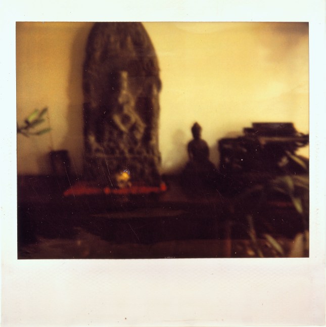 Color polaroid photo by Liu Wei featuring a Buddha and a plant