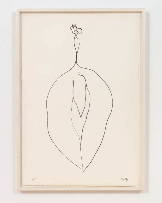 Ellsworth Kelly
Seaweed (Algue), 1965-1966
lithograph, edition of 75
35 5/8 x 24 3/4 in. / 90.5 x 62.9 cm