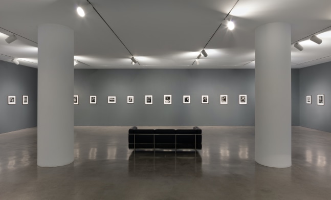 Installation View. Photo: Pierre Le Hors.