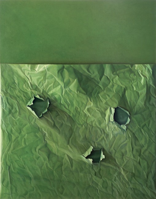 Claudio Bravo

Green Paper on Green Background, 2007&amp;nbsp;&amp;nbsp;
oil on canvas
57 1/2 x 44 7/8 in. / 146.1 x 114 cm